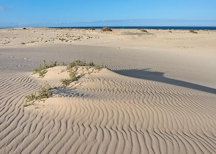 Garden 128 קורלחו