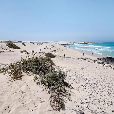 Garden 128 * Corralejo