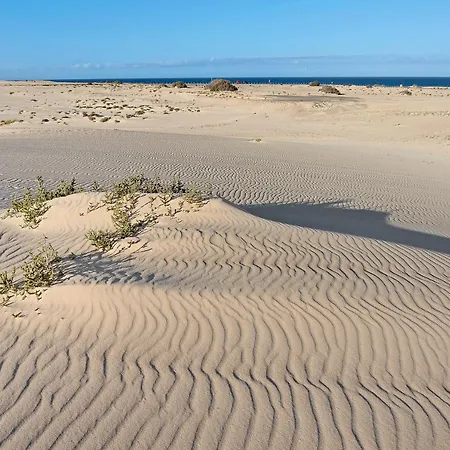 Garden 128 コラレホ